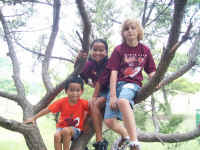 08twhc picnic (7).jpg (532564 bytes)